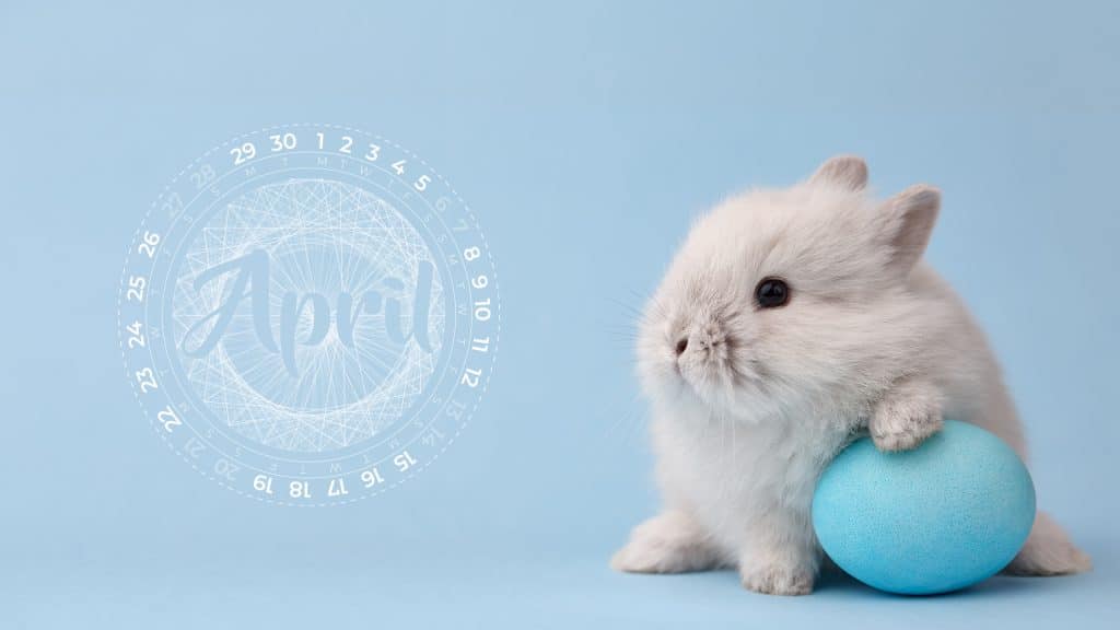April 2019 Wallpaper Flicker Leap April 2019 Wallpaper Flicker Leap