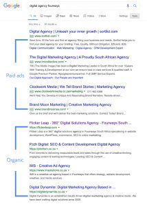 organic and paid search