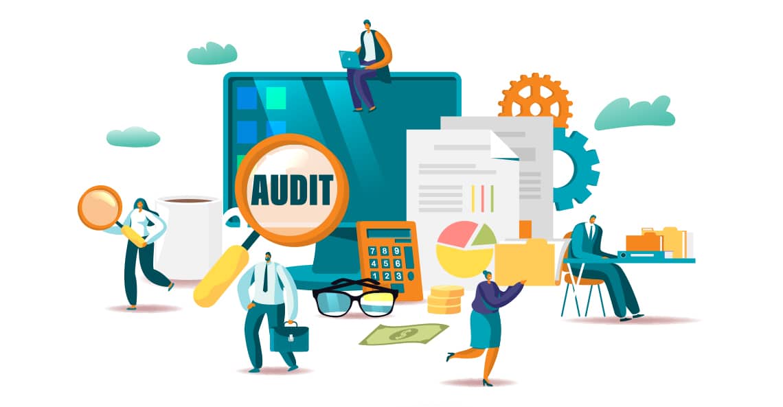 website audit