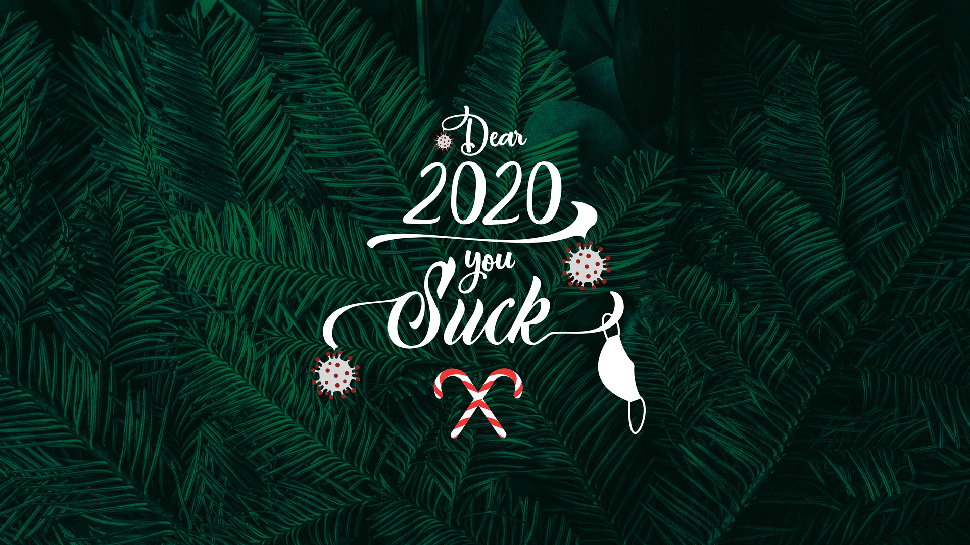 200 December Wallpapers  Wallpaperscom